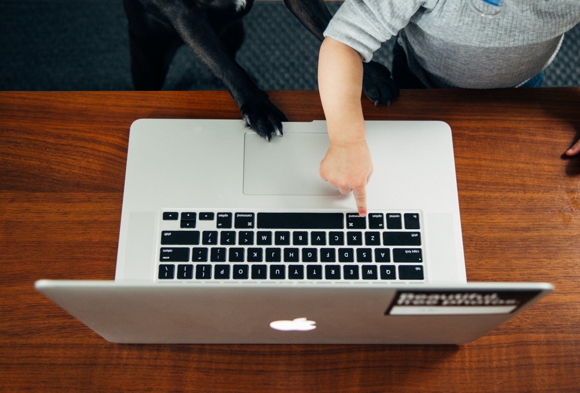 Computer with toddler and dog