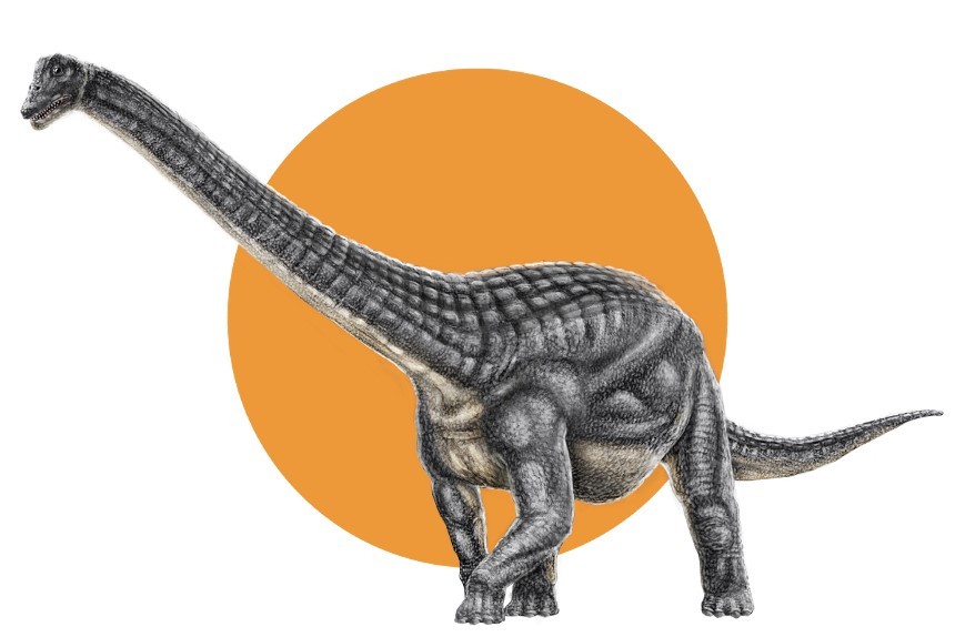 Dinosaur image