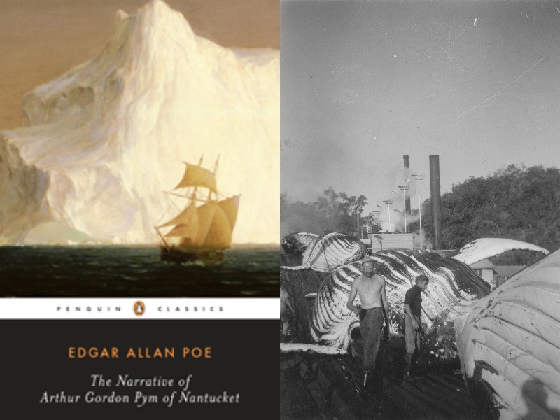 Composite image showing the cover of The Narrative of Arthur Gordon Pym of Nantucket by Edgar Allan Poe + Men working with whale carcasses on the slipway of Tangalooma whaling station in July 1955