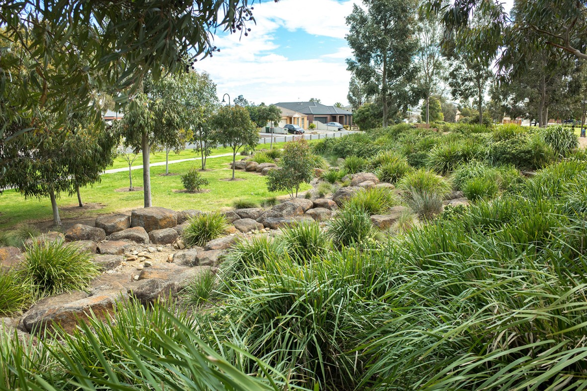 Drought-resistant planting