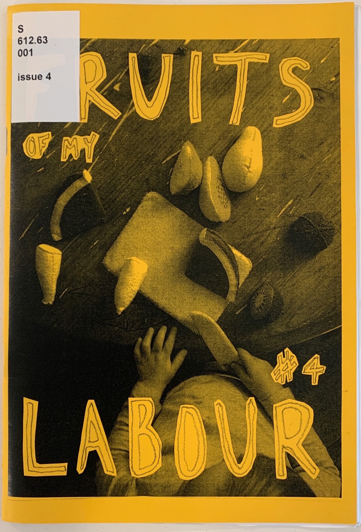 Front cover of Fruits of My Labour zine