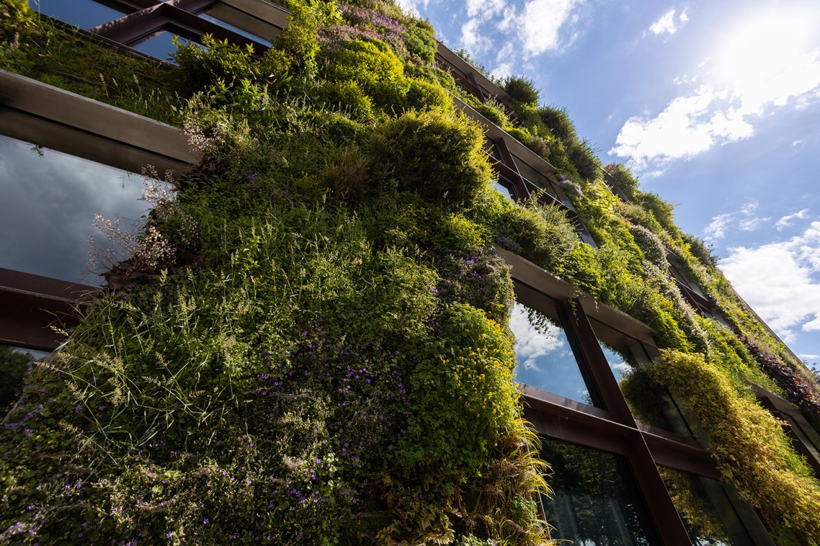 Green facades