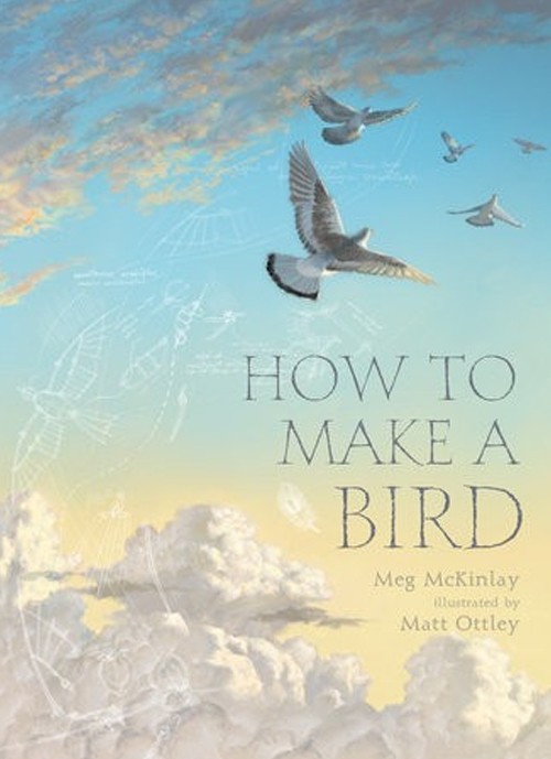 How to Make a Bird by Meg McKinlay illustrated by Matt Ottley Walker Books Australia