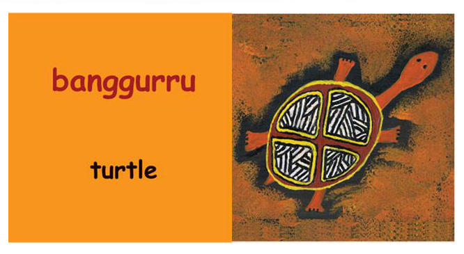 English to Gudjal translation of the word Turtle