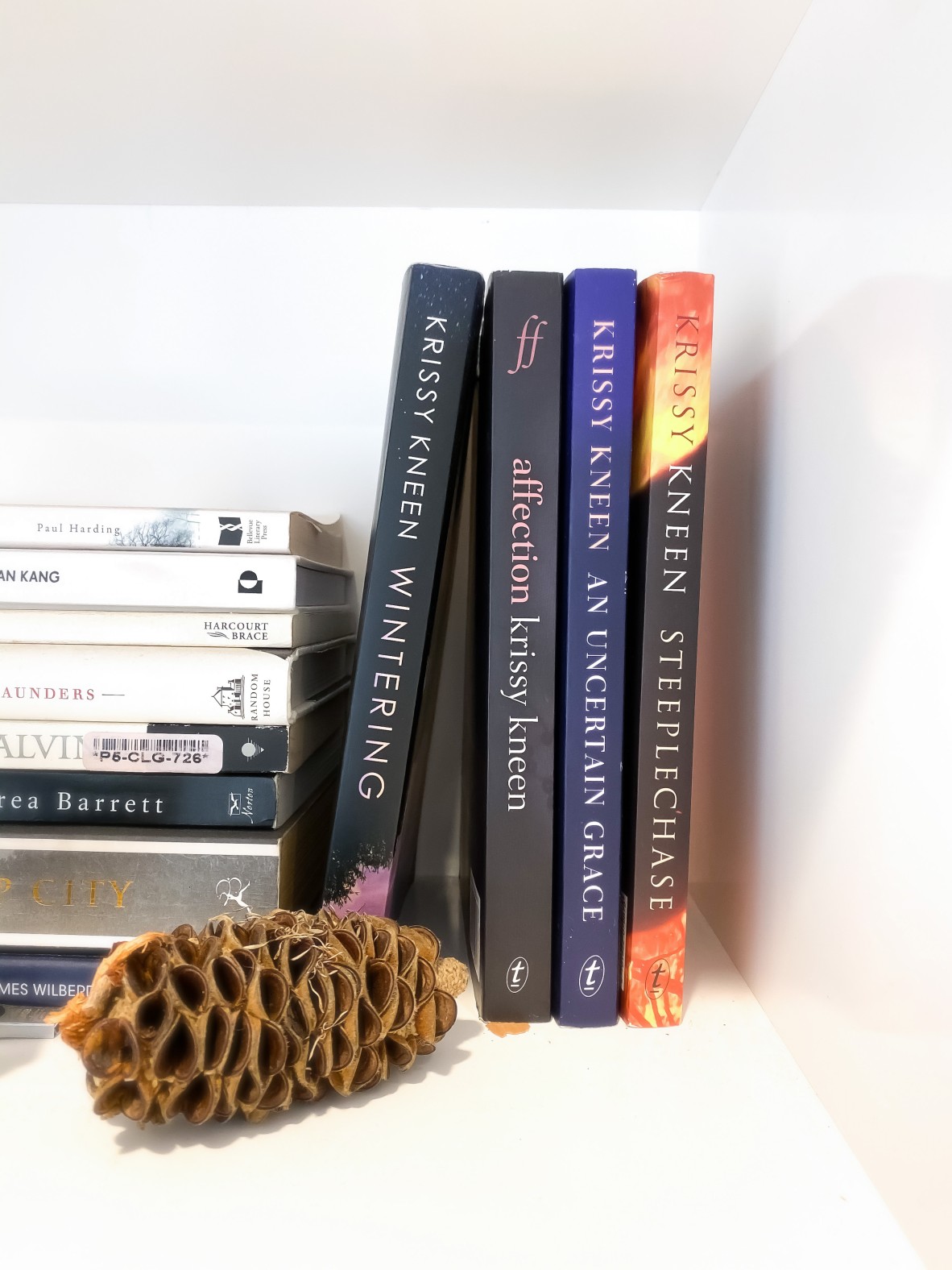A banskia pod sits on a shelf in front of four books by Krissy Kneen spines out