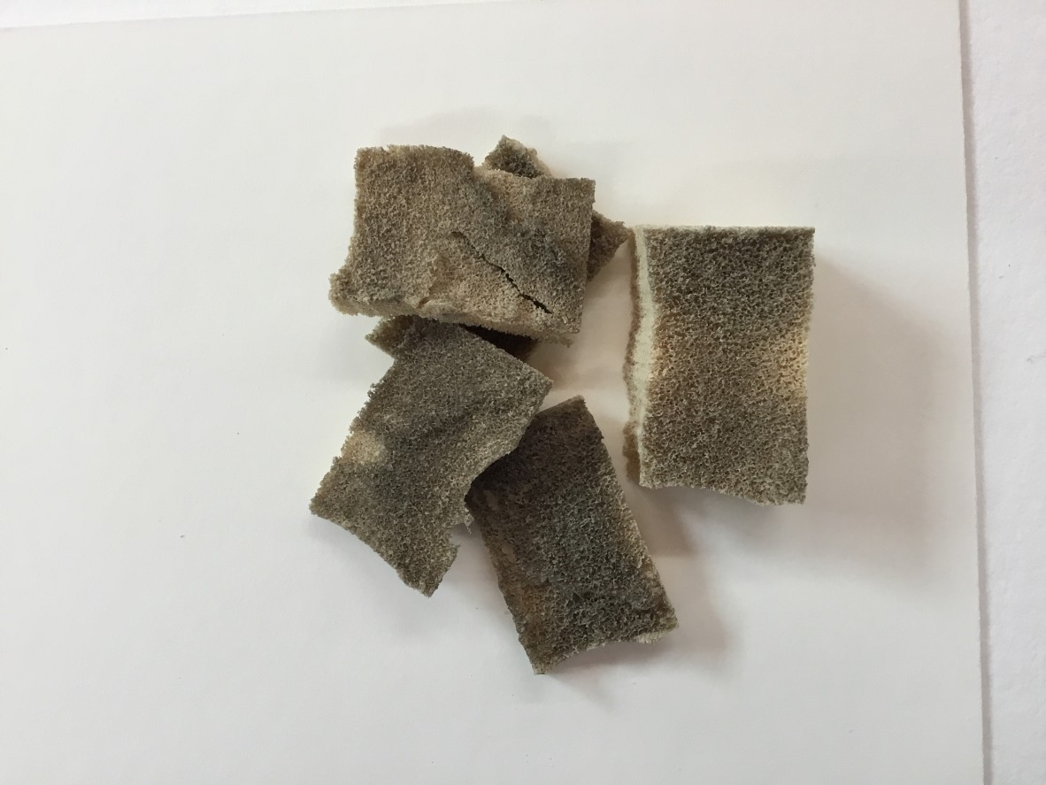 Pieces of used smoke sponge from the Petition cleaning treatment.