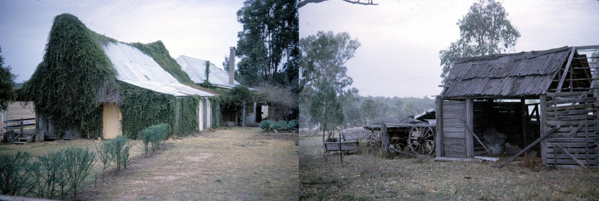 Glenhaughton Station, Taroom.