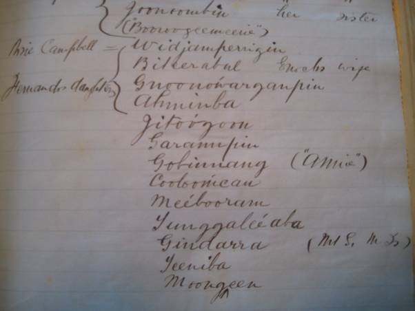 A page from a scrapbook in the Archibald Meston papers OM64-1736 featuring the traditional names of Fernando Gonzales daughters
