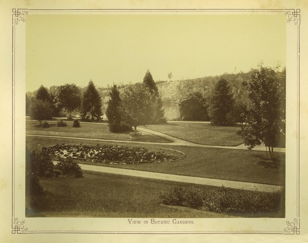  View of the Botanic Gardens in Brisbane 1875