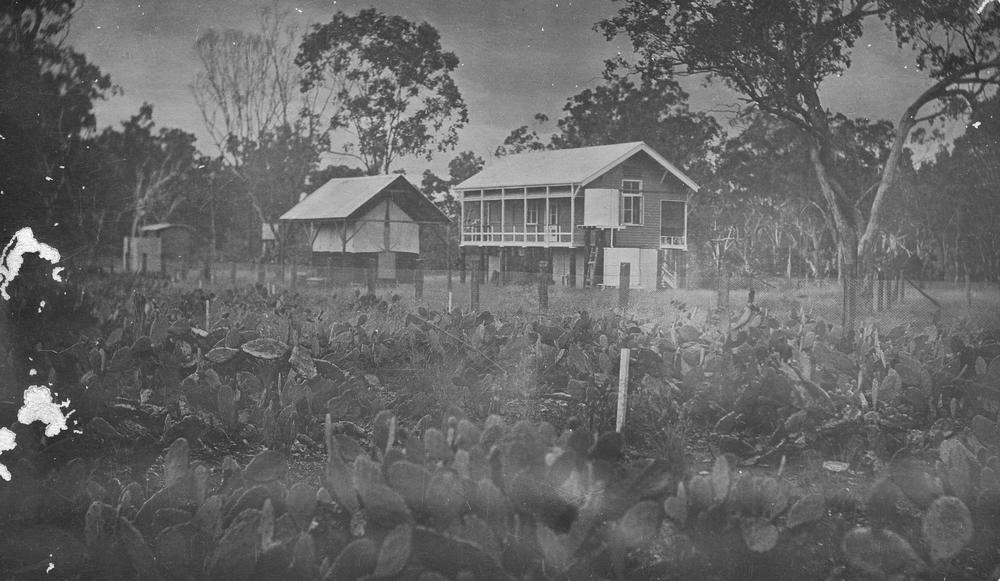 Queensland Prickly Pear Boards research station, Dulacca, ca.1913