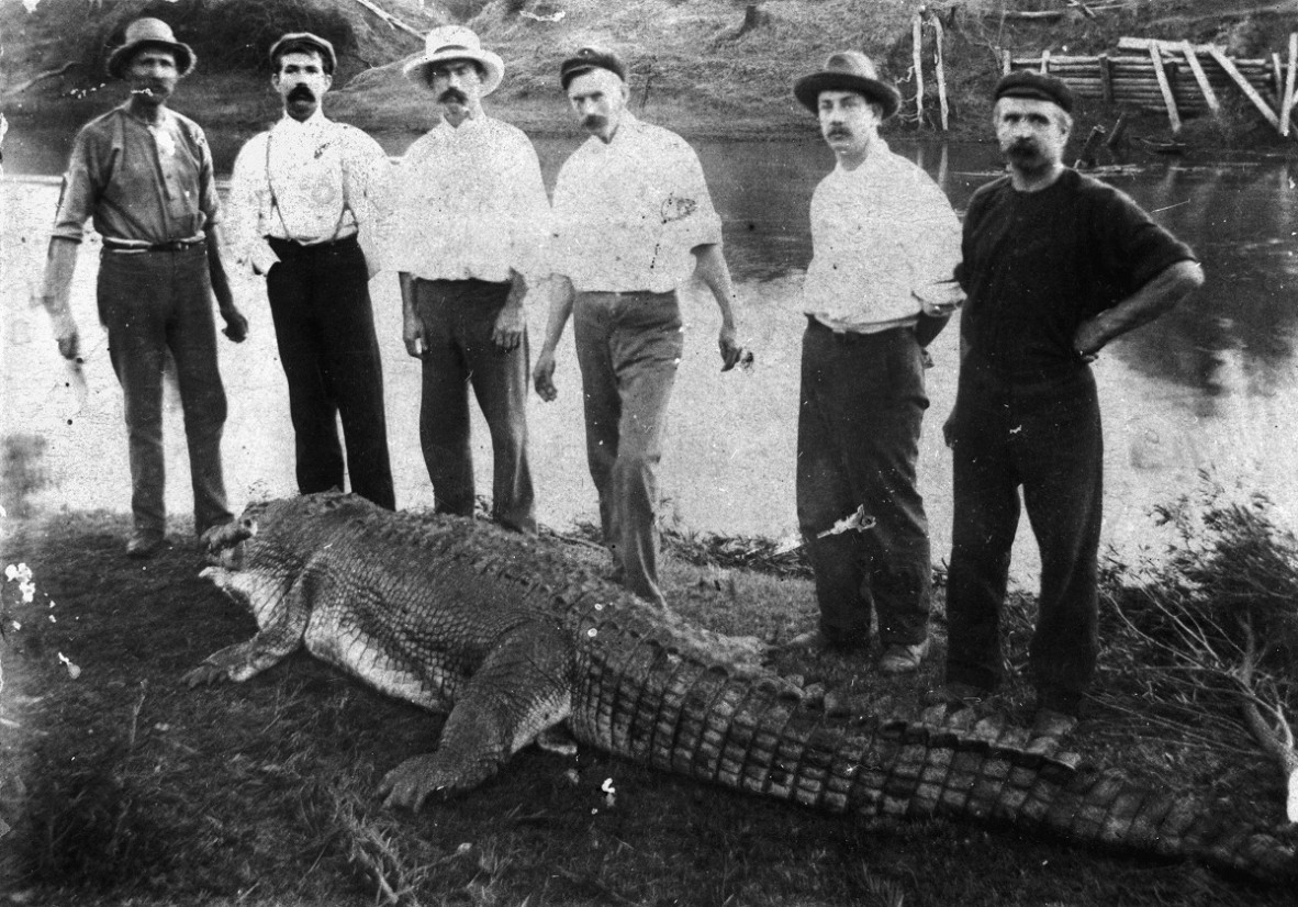 Six locals pose behind caught crocodile on river bank