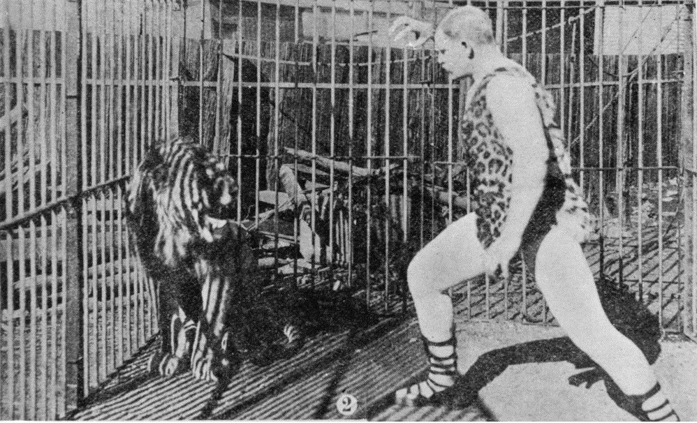 Herr Pagel ready to tackle the lion at Wirth's Circus, Brisbane, 1903.