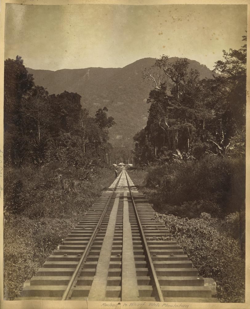 Cairns to Herberton railway line looking from Freshwater Creek towards Redlynch Station ca. 1883.