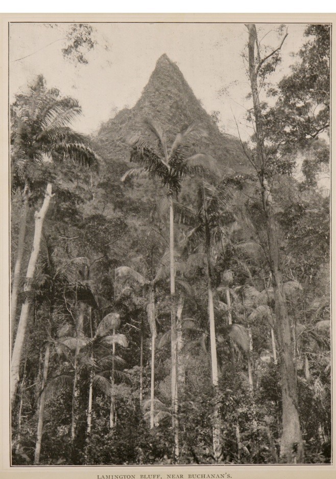  The national park of Queensland : comprising Lamington and Roberts Plateaux (South Queensland).