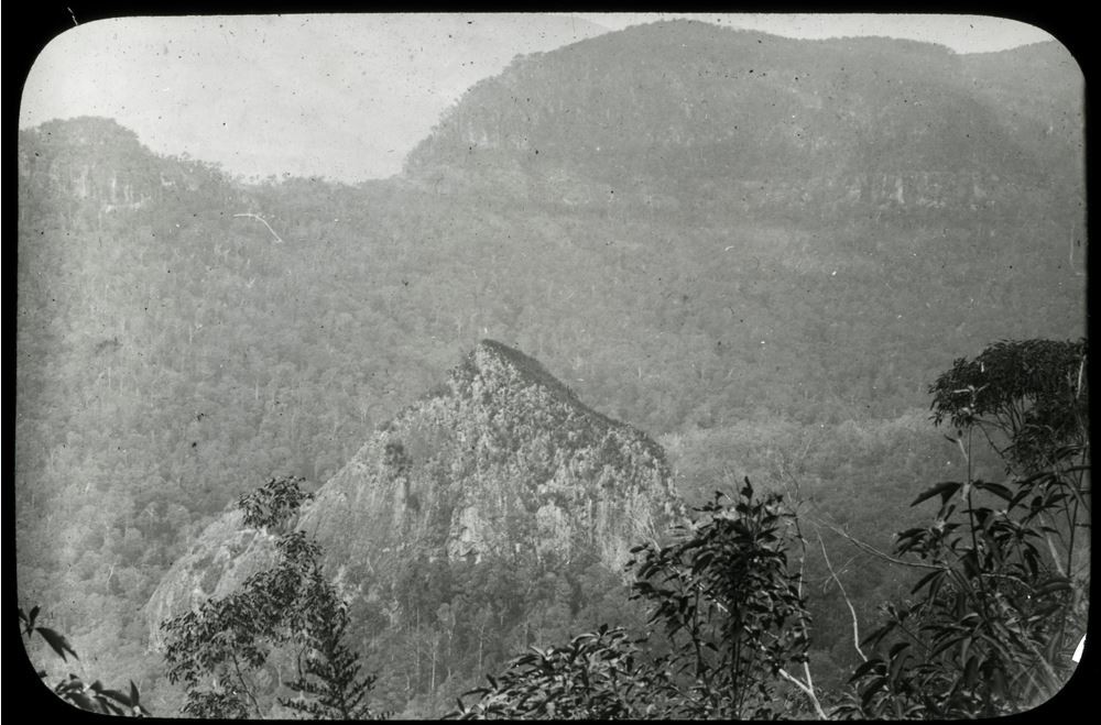  View looking towards Egg Rock in Lamington National Park Queensland 1909-1915