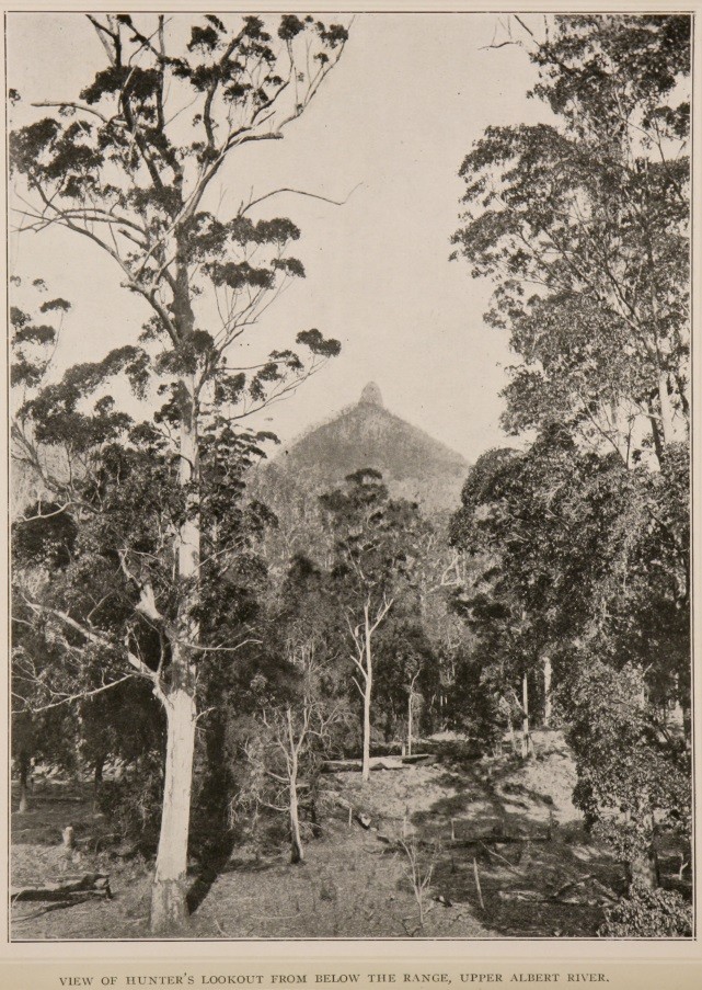  The national park of Queensland : comprising Lamington and Roberts Plateaux (South Queensland).