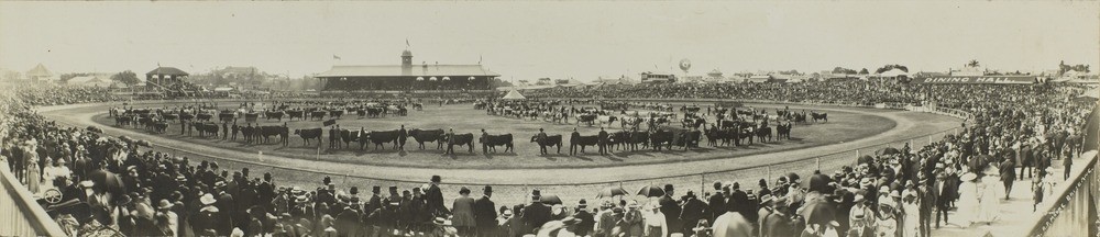 Panorama of the main show arena Exhibition Ground Brisbane ca 1916 From 7325 Haig Photographs