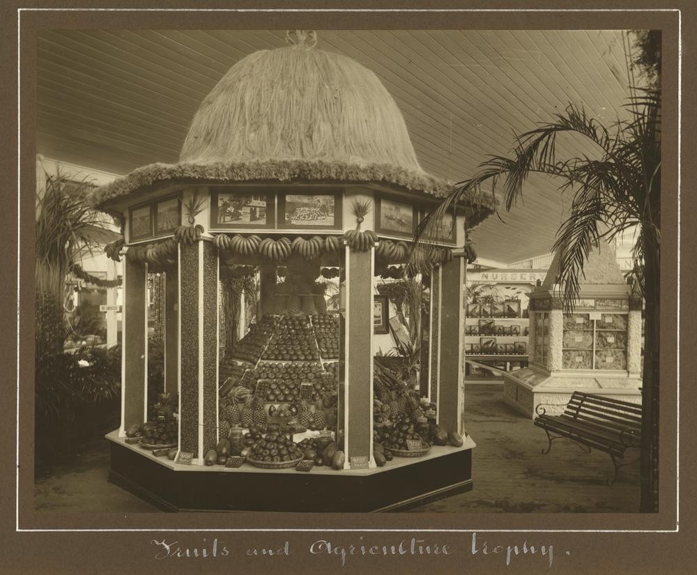 John Oxley Library, State Library of Queensland.