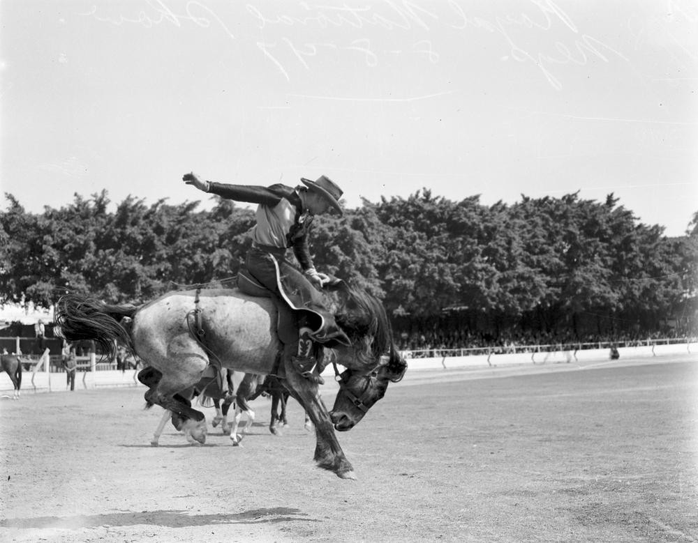 Rodeo competitor at the Royal National Show at Exhibition Grounds, Brisbane 1947. John Oxley Library, State Library of Queensland. Image 28118-0001-1394