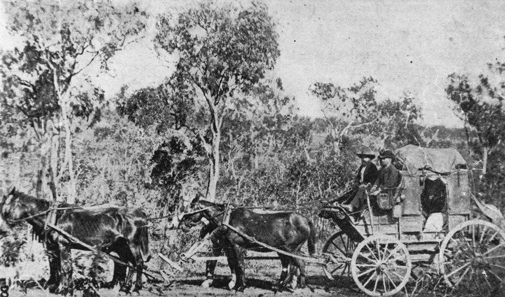black and white image of 3 people on a horse drawn cart infront of bushland 