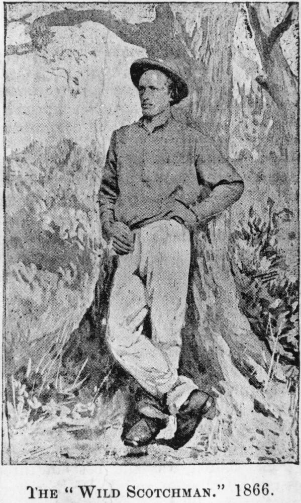 Bush Ranger Qld The