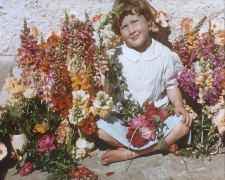 child sits in a large clump of flowers 