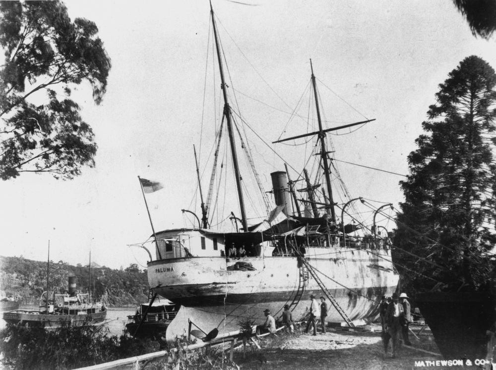 Paluma (ship), John Oxley Library