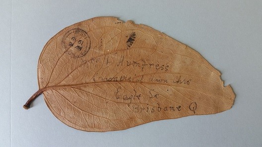 The 'gum leaf letter', 1910.