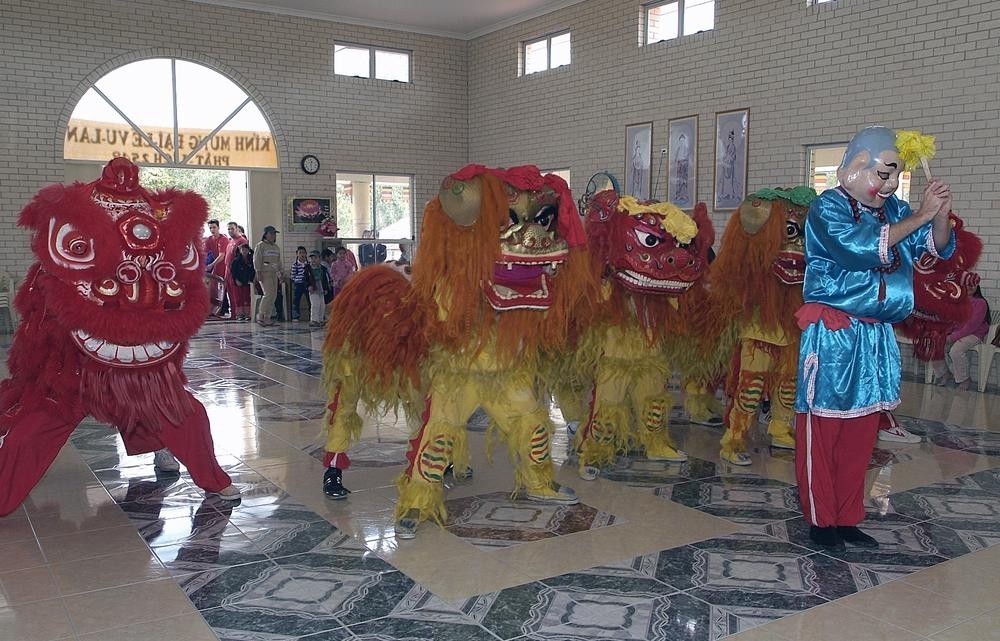 colourful lion dancing