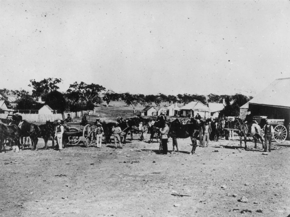 jimbour homestead tours