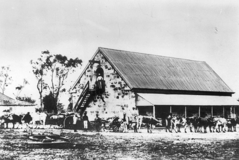 jimbour homestead tours