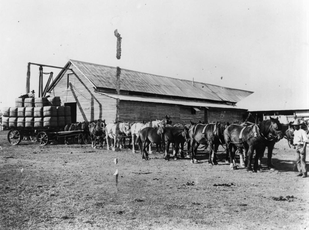 jimbour homestead tours