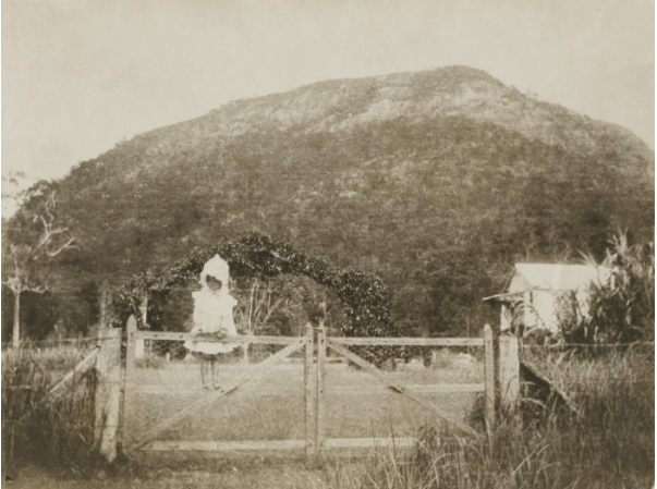 Girl on wooden gate at Inglenook Mt Jukes