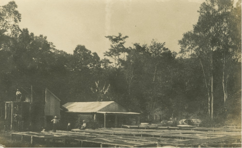 People drying coffee at B. & S. coffee plantation