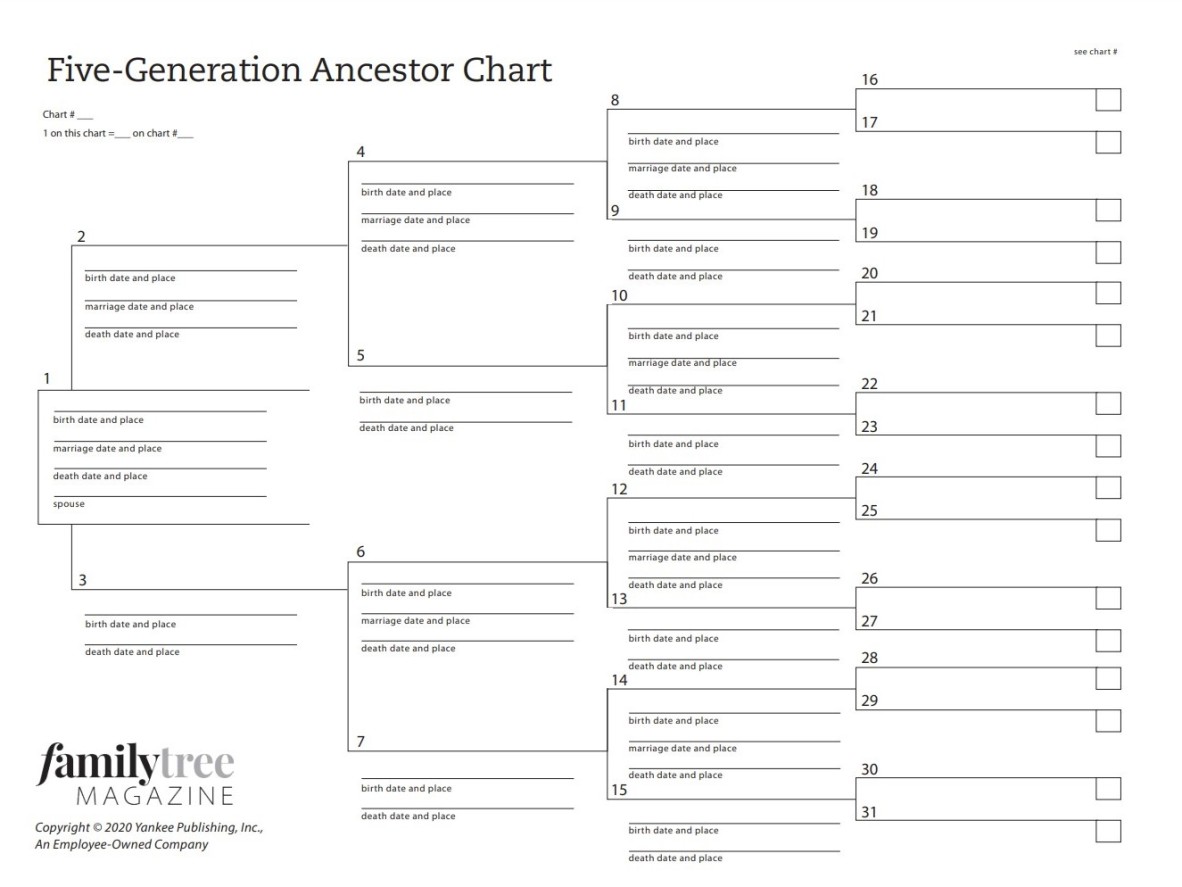 A family tree chart with names and branches