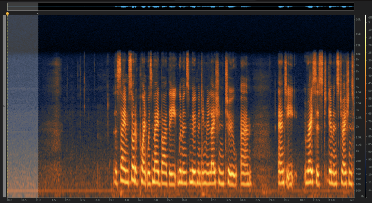 A waveform display of an audio file with a section of noise higlighted
