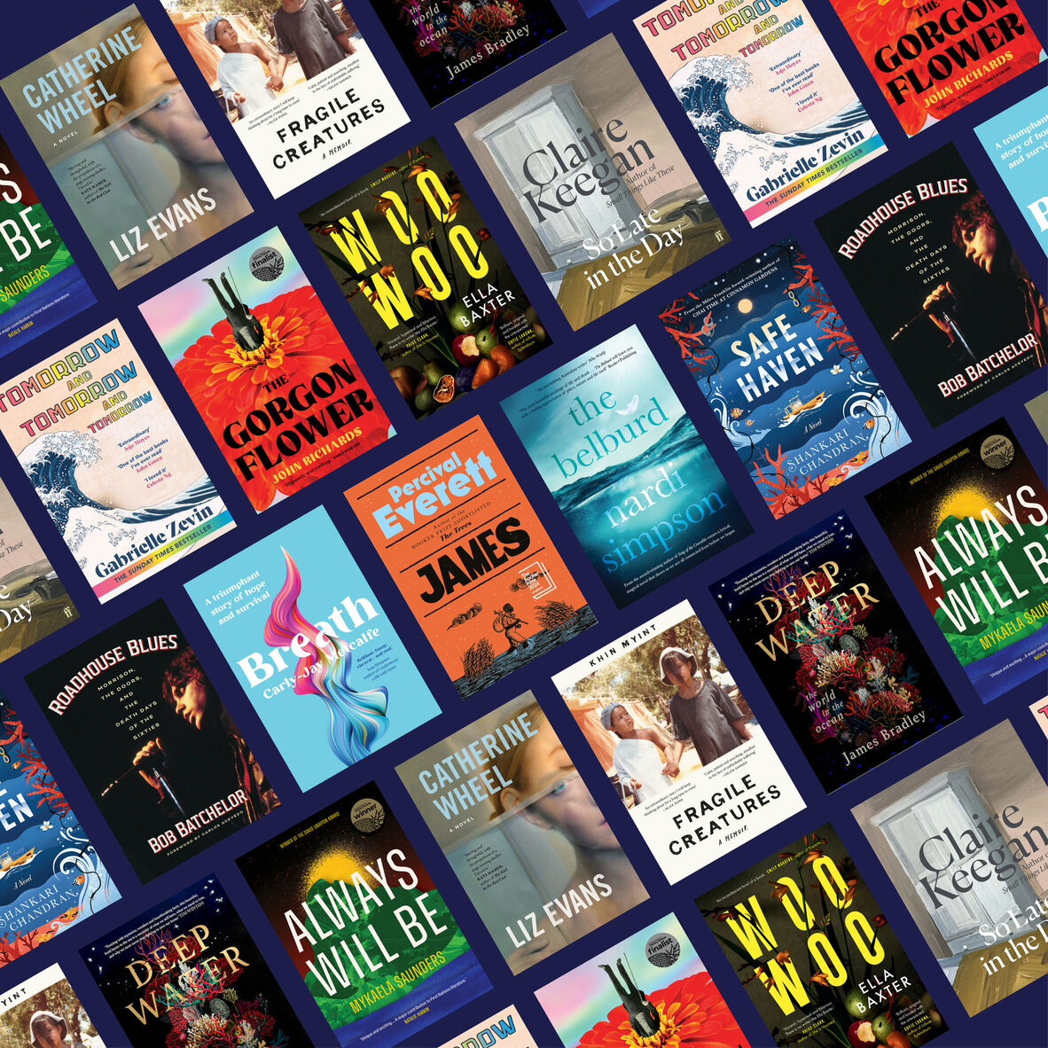 Composite image of a dozen book covers on a navy blue background