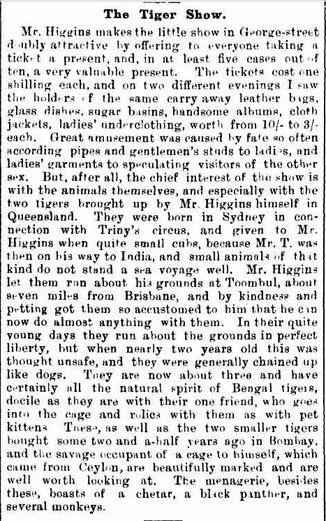 Trove article describing tiger show