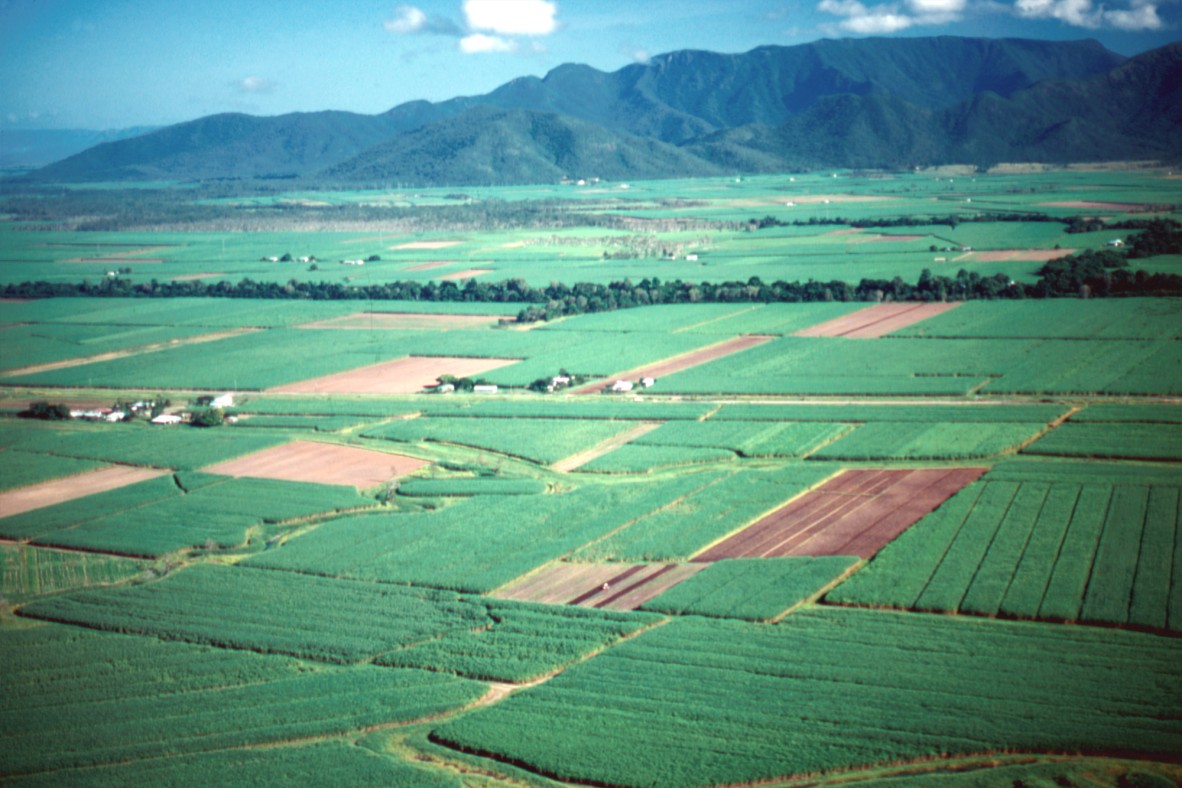 Aerial view of the canefields at Tully 1984