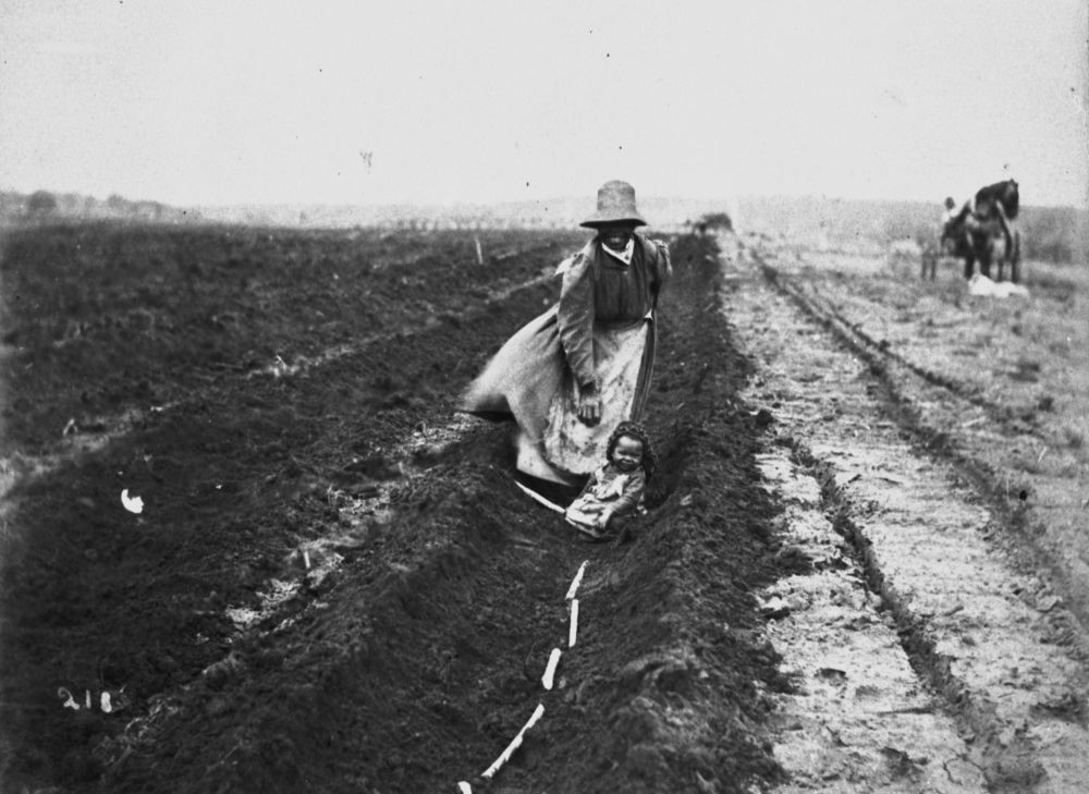 Woman in field