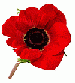 Featured image for blog post 444616