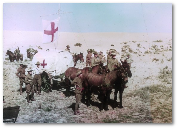 Light Horse Field Ambulance Wagon