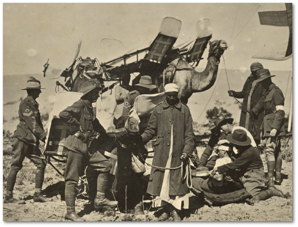 Wounded Light Horsemen