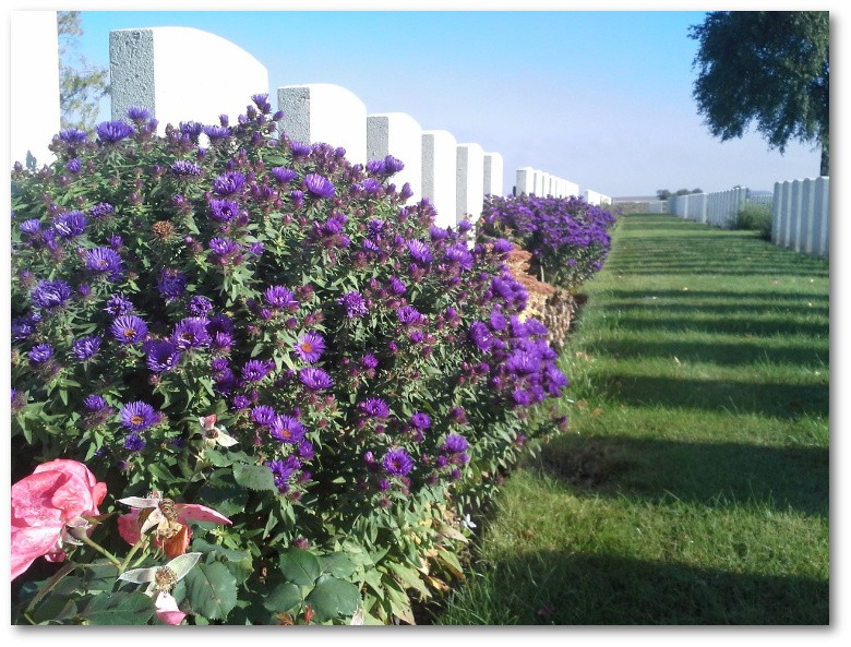 AIF Cemetery Flers, France