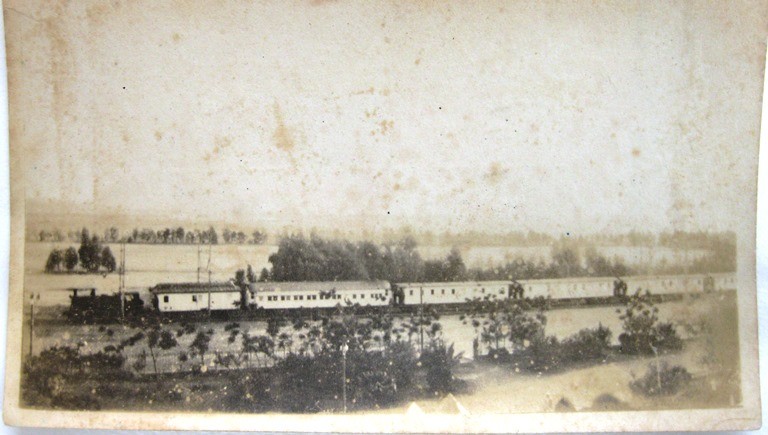 B&W picture of a hospital train in countryside Egypt, 1915.