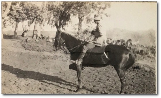 Mounted Light Horse soldier