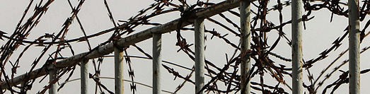 Barbed wire fence