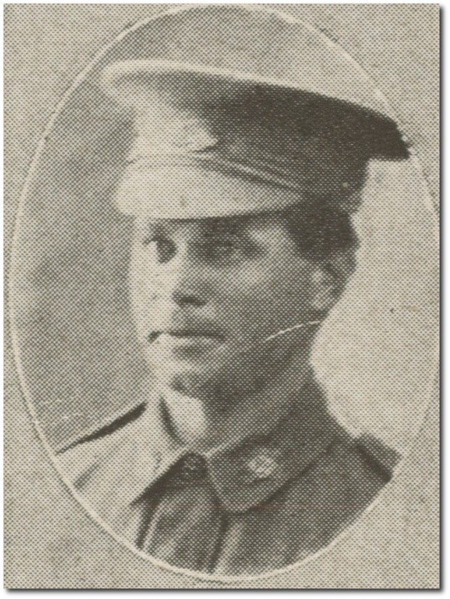 Walter Andrews