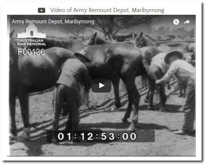 Remount Unit footage