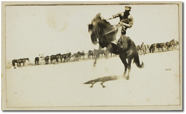 Buck jumping sports